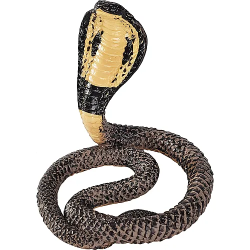 Mojo Wildlife K�nigskobra