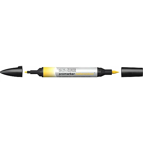 Winsor & Newton Promarker Watercolour mit 2 Spitzen Gummigut Neu