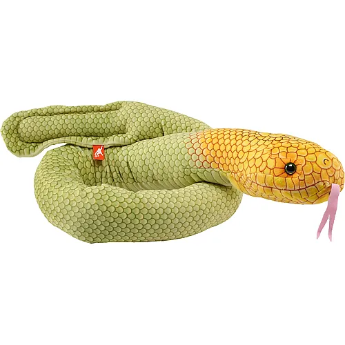 Sea Snakes Olive 137cm