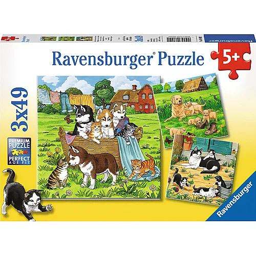 Ravensburger Puzzle Ssse Katzen und Hunde (3x49)