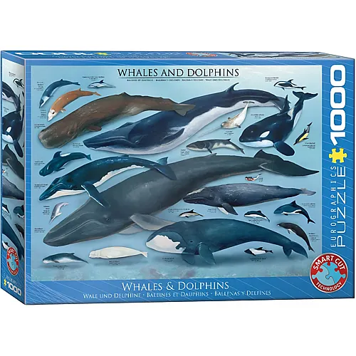 Delfine und Wale 1000Teile