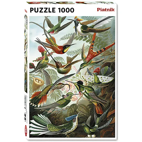 Piatnik Puzzle Haeckel - Kolibris (1000Teile)