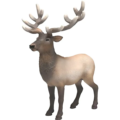Schleich Wild Life Amerikanischer Rothirsch