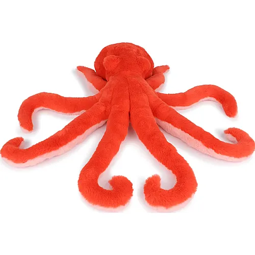 Oktopus 50cm