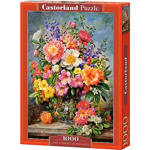 Castorland Puzzle Strahlende Blumen im Juni - 1000 Teile