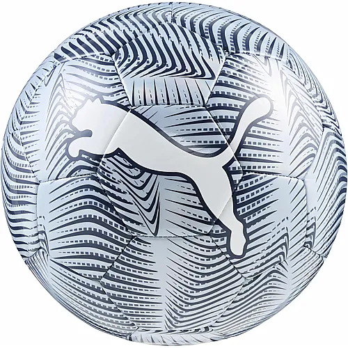 Puma Ball  FINAL Graphic
