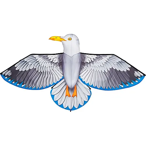 Seagull