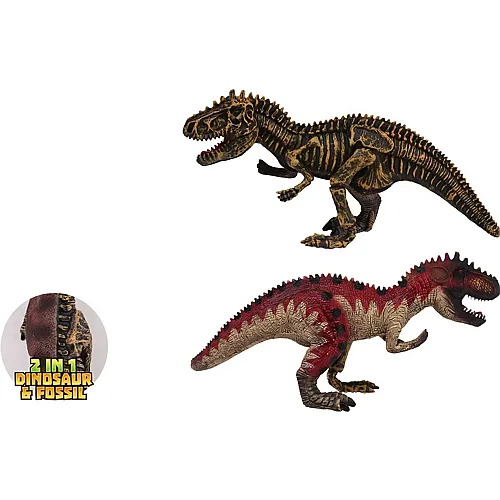 Dino & Fossil - Giganotosaurus