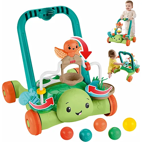 Schildkr�ten Walker
