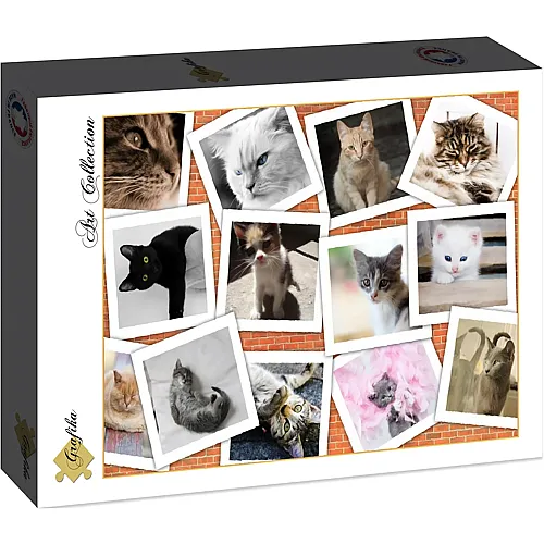 Grafika Puzzle Art Collection Cris Ortega Katzenfotos - 2000 Teile