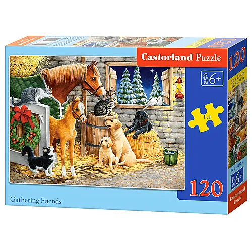 Castorland Puzzle Gathering Friends - 120 Teile