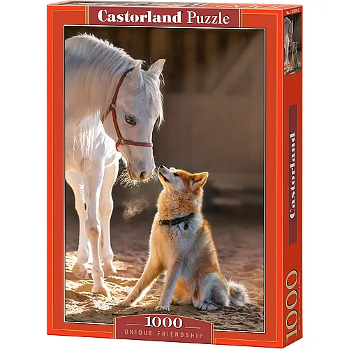 Einzigartige Freundschaft 1000Teile