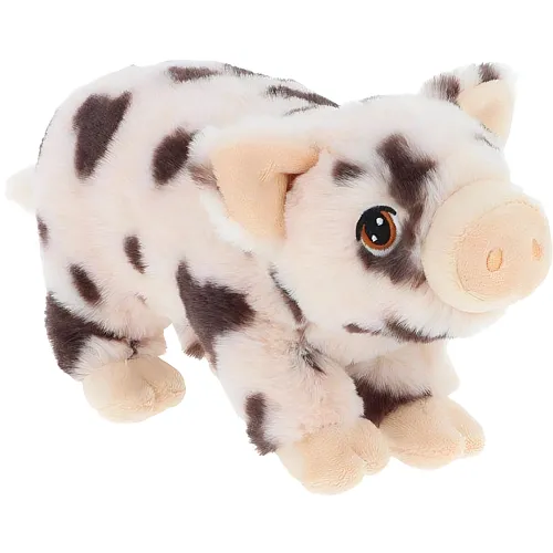 Schwein - 18 cm
