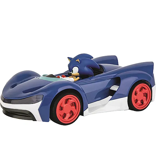Team Sonic Racing Performance Version