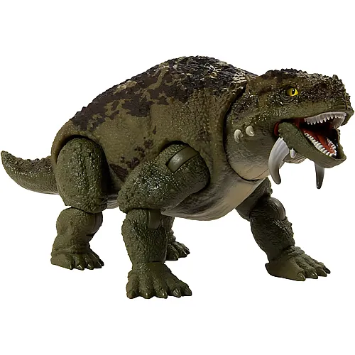 Hammond Collection Scutosaurus