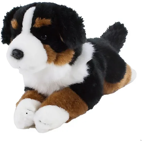 Bovaro del Bernese sdraiato - 30 cm