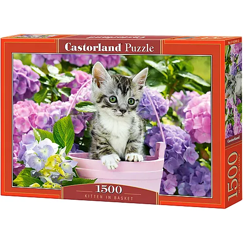 Castorland Puzzle K�tzchen im Korb - 1500 Teile