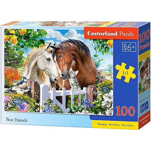Castorland Puzzle Best Friends - 100 Teile