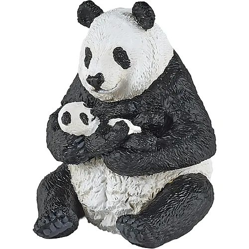 Sitzender Panda mit Jungem