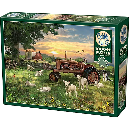 Feld bei Sonnenaufgang 1000Teile