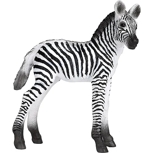 Mojo Wildlife Zebrafohlen