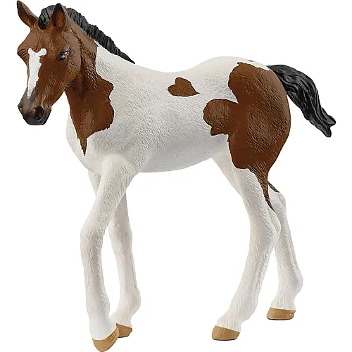 Schleich Horse Club Paint Horse Fohlen