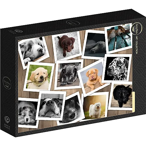 Hunde