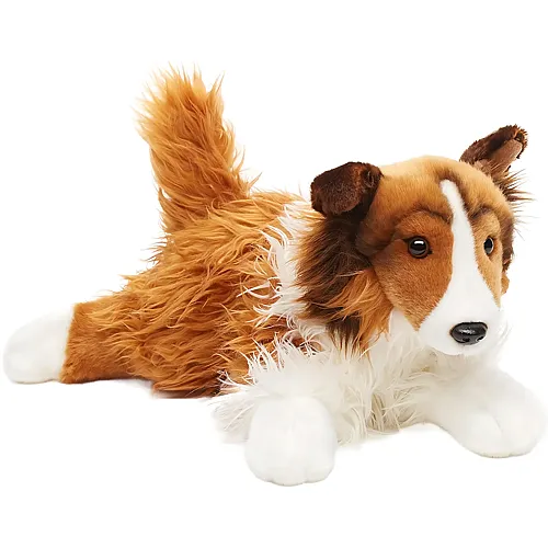 Langhaarcollie liegend 41cm