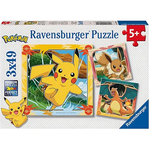 3in1 Pok�mon 49Teile