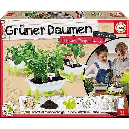 Grner Daumen Salat DE