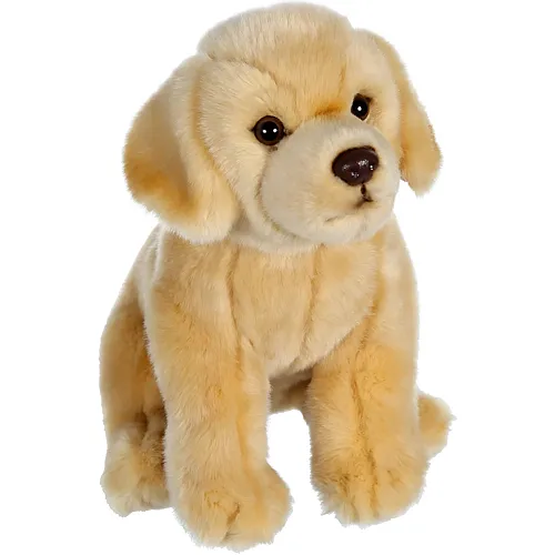 Labrador Beige 25cm