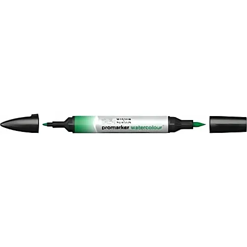 Winsor & Newton W&n Promarker Watercolour Hooker's Gr�n