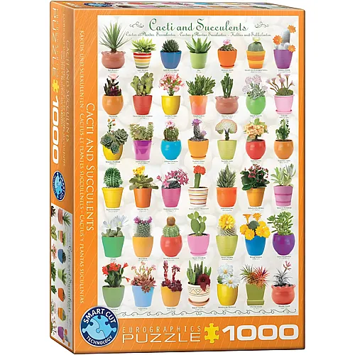 Eurographics Puzzle Kaktus und Sukkulenten (1000Teile)