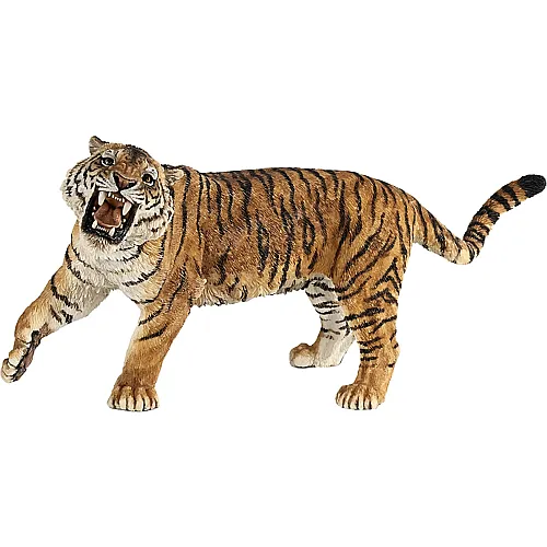 Brllender Tiger