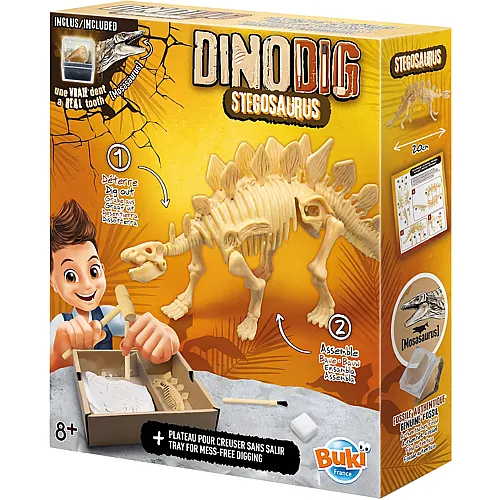 Dino zum Ausgraben  Stegosaurus