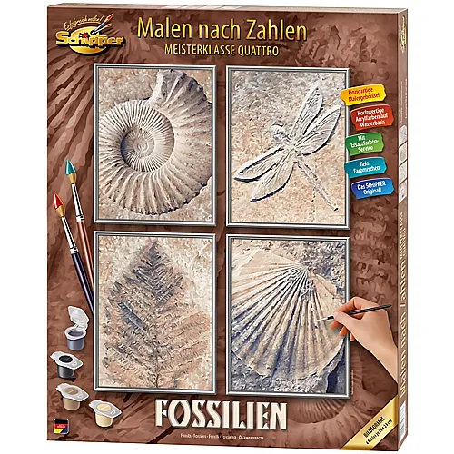 MNZ Fossilien