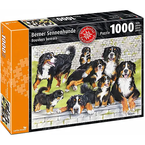 Berner Sennenhunde 1000Teile