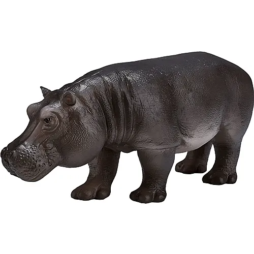 Mojo Hippo Weibchen