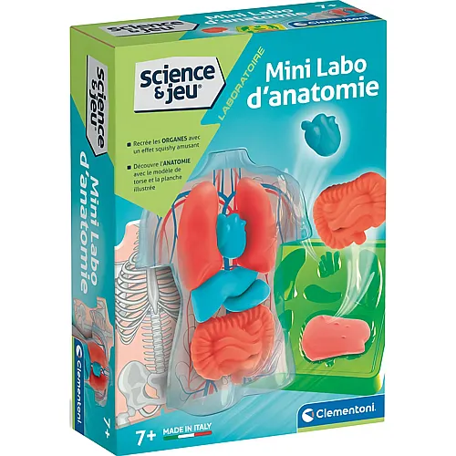 Mini Labo d'anatomie - Franais