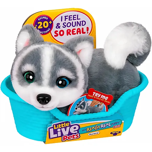 Spectron Little Live Pets Mein wirklich echter Welpe Mini Aurora