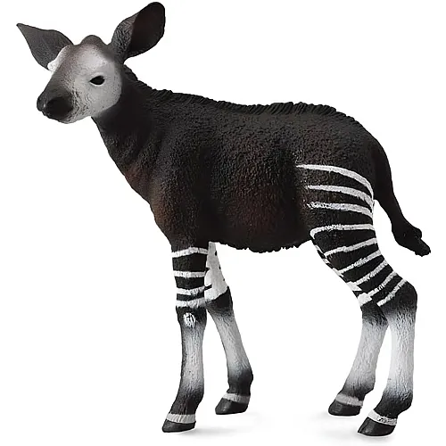 Okapi Kalb