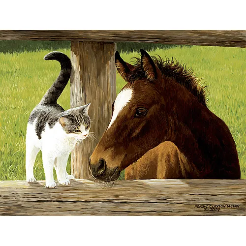 SunsOut Puzzle Clayton Weirs Whiskery Hello - 500 Teile