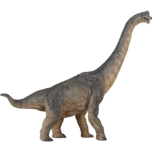 Papo Die Dinosaurier Brachiosaurus