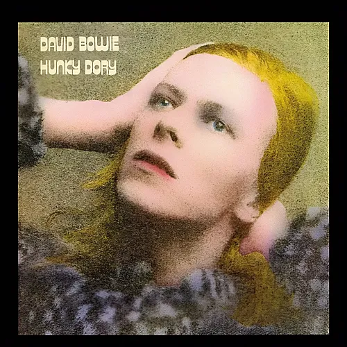 Rock Saws Puzzle David Bowie - Hunky Dory (500Teile)