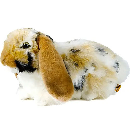 Holl�ndisches Schlappohr-Kaninchen Braun - 30 cm