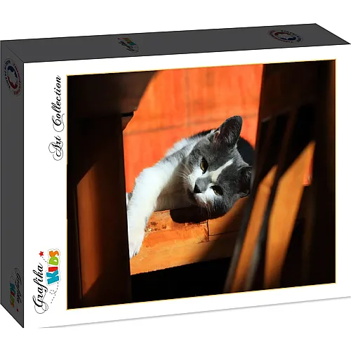 Grafika Puzzle Art Collection Grafika Kids Kitten - 12 Teile