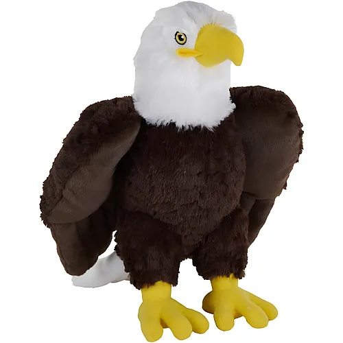 Weisskopfseeadler - 30 cm