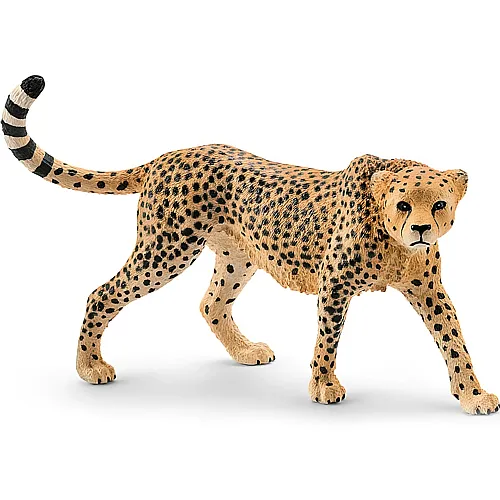 Schleich Wild Life Safari Gepardin