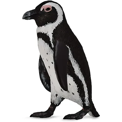 Sdafrikanischer Pinguin
