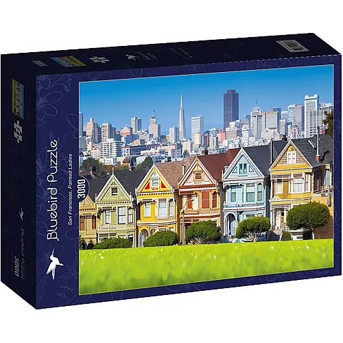 San Francisco, Painted Ladies 3000Teile